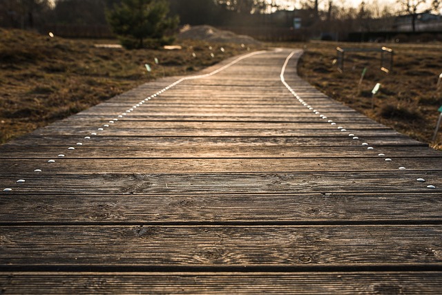 10. Plank s rotací těla pro‍ posílení ⁣bederní páteře