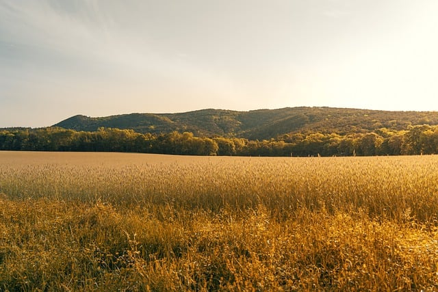 8. Farmer's Walk (Chůze ‍s činkami)