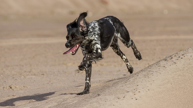 2. Bird dog:⁣ Posilování zadních svalů