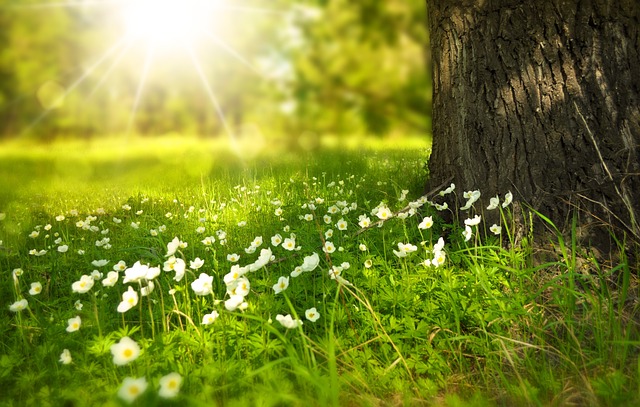 Spojení s přírodou a čaker jako cesta k energetickému vyrovnaní