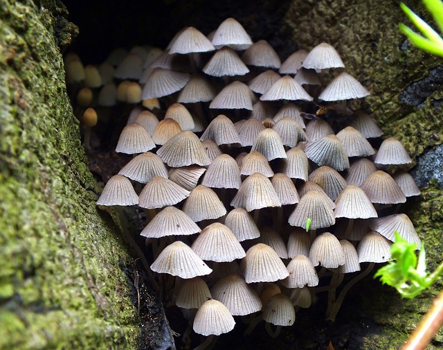 Výhody ‍pravidelného jídla na rozložení⁢ metabolismu