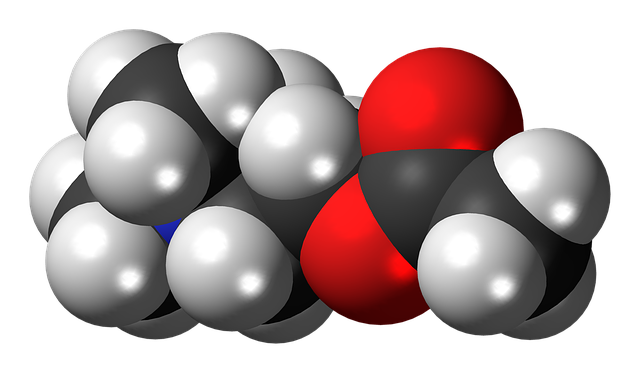 3. Hlavní​ neurotransmitery spojené se⁤ sportovní motivací a jak je podpořit pomocí bylin a prekurzorů