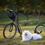 Strava během zranění: Kalorie, makroživiny a vše, co potřebujete vědět 3 Strava během zranění: Kalorie, makroživiny a vše, co potřebujete vědět