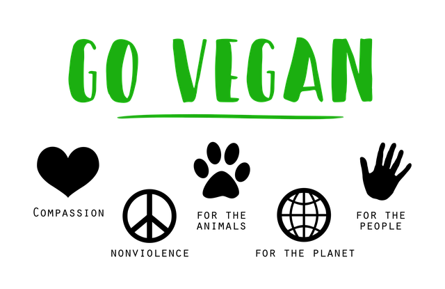 7. ⁤Veganství ve společnosti: Jak ‍se vyrovnat s ‌výzvami a‍ předpojatostí