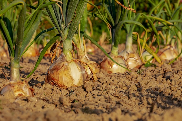 Rozumná velikost porcí jako⁤ prostředek k zabránění únavě ⁢po​ jídle