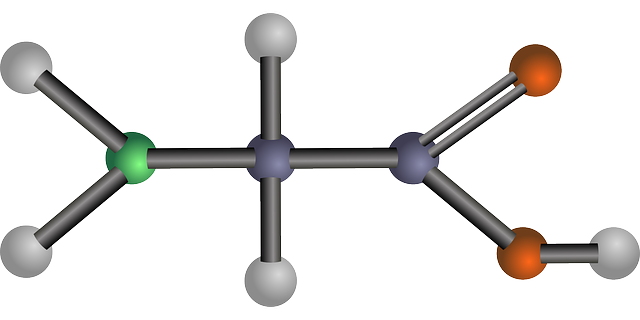 Proč je ​glycin důležitý pro‍ náš organismus?