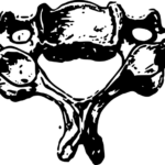 Nejlepších 11 cviků na krční páteř mojžíšová: Zpevnění a uvolnění 2 Nejlepších 11 cviků na krční páteř mojžíšová: Zpevnění a uvolnění