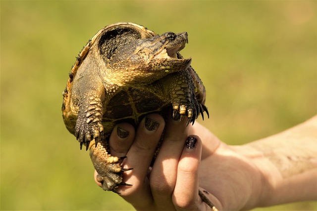 Cviky na želví krk: Zlepšete držení těla a ulevte od bolesti krku