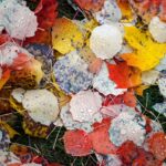 Kolagen vs. želatina: Benefity, rozdíly, využití 7 Kolagen vs. želatina: Benefity, rozdíly, využití