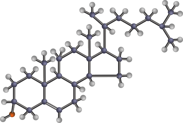 Suplement Citrus Bergamot a vliv na vysoký cholesterol