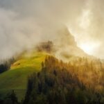 Na co se zaměřit při výběru proteinové tyčinky?