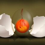 Jan Krasinský, do teď jsi bral protein špatně 1 Jan Krasinský, do teď jsi bral protein špatně