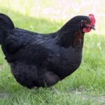 Dáš na předsudky, nebo věříš starým klasikám? Rozluštíme témata gainérů 9 Dáš na předsudky, nebo věříš starým klasikám? Rozluštíme témata gainérů
