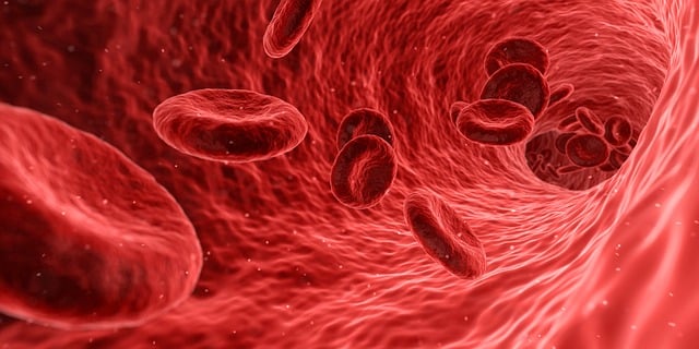 Analýza krve: Je potřeba si nechat testovat hormony
